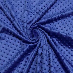 Velur minky - royal blue